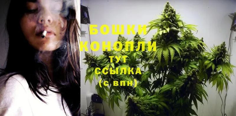 Марихуана SATIVA & INDICA  Ермолино 